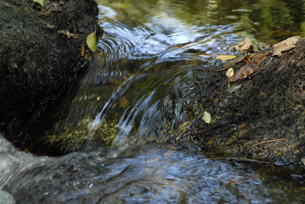 ホテル Inatel Entre-Os-Rios Portela  エクステリア 写真